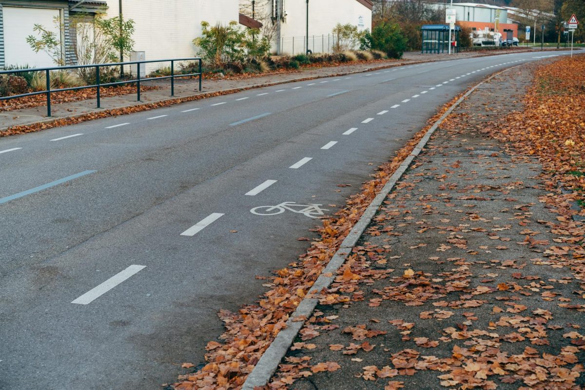 Road Bike Buying Guide: Best Tips for Beginners