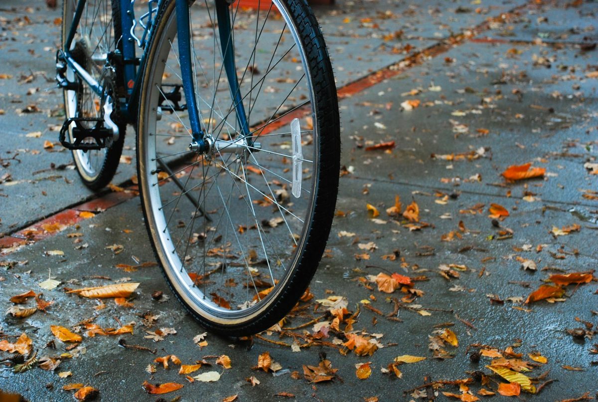 Bike Riding Nutrition: Best Pre and Post-Ride Fuel