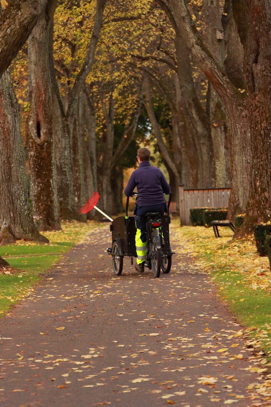 Fall Bike Maintenance: Essential Tips for Effortless Autumn Rides